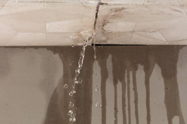 Professional Water Extraction technician working in Olton, TX